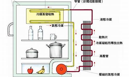 如图是电冰箱的工作原理图_如图是电冰箱的简化电路图_1