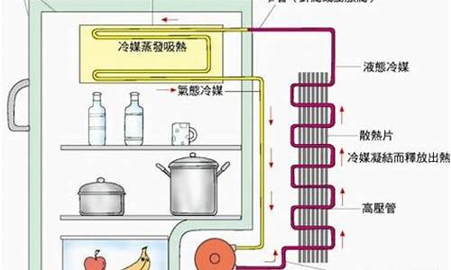 电冰箱工作的原理简图_电冰箱的工作原理初二