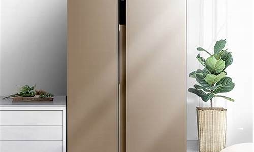 美的双门冰箱价格_美的双门冰箱价格表和图片