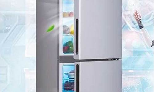 2010年电冰箱排行榜
